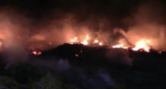 Wetland Blaze Contained After Overnight Battle